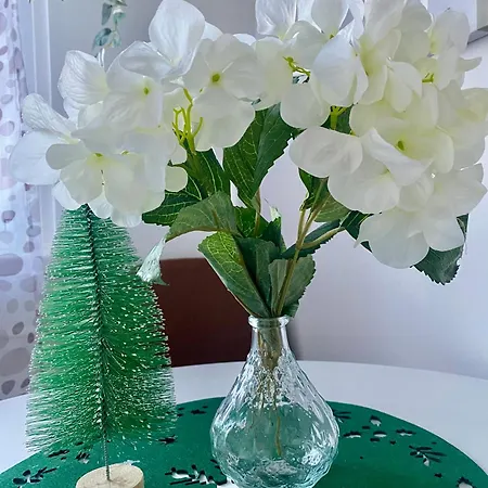 Buda Side Comfort Appartamento Budapest