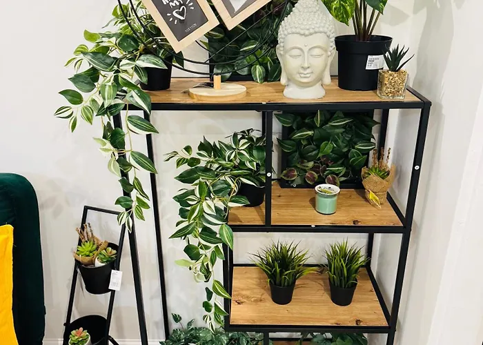 Buda Side Comfort *